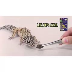   Hikari Reptile LeopaGel | Teljes értékű prémium táp - 60 g