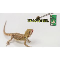   Hikari| Reptile DragonGel | Teljes értékű prémium gél táp - 60 g