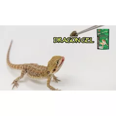   Hikari| Reptile DragonGel | Teljes értékű prémium gél táp - 60 g