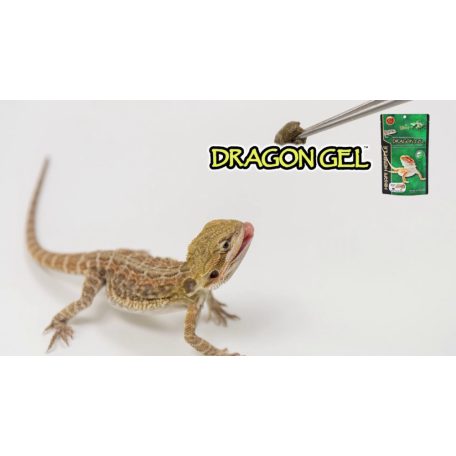 Hikari| Reptile DragonGel | Teljes értékű prémium gél táp - 60 g