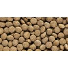 Hikari Reptile Dragon Delite | Teljes értékű prémium pellet táp - 200 g