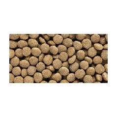   Hikari Reptile Dragon Delite | Teljes értékű prémium pellet táp - 200 g