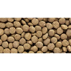   Hikari Reptile Dragon Delite | Teljes értékű prémium pellet táp - 200 g