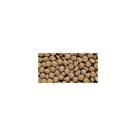 Hikari Reptile Dragon Delite | Teljes értékű prémium pellet táp - 200 g