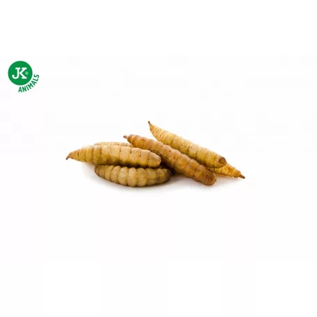 JK | Fekete katonalégy lárva (Hermetia illucens L.) szárítva - 80 g.