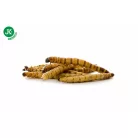 JK Szárított szárított gyászbogárlárva (Zophobas morio) - 80 g.