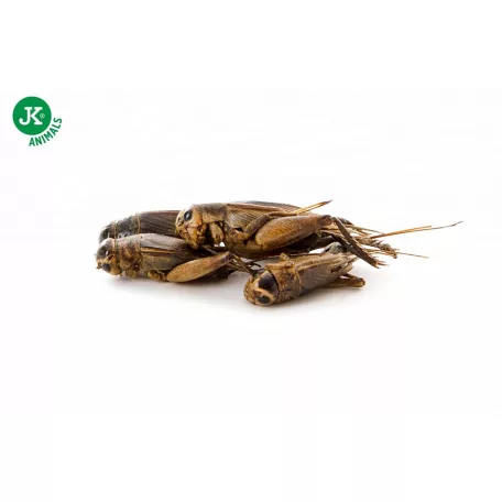 JK | Szárított tücsök(Gryllus) - 80 g.