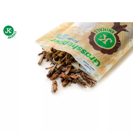 JK | Fagyasztva szárított szöcske (Acrida cinerea) - 80 g.