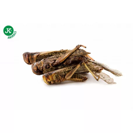 JK | Fagyasztva szárított szöcske (Acrida cinerea) - 80 g.