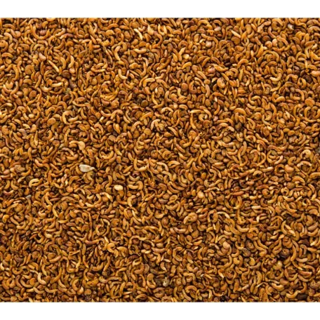 JK Gammarus | Szárított rák - 25g