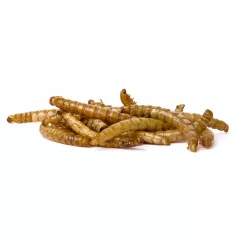 JK Szárított lisztkukac - 450g