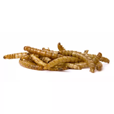 JK Szárított lisztkukac - 80g
