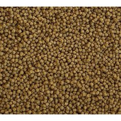   Dajana | ISF Coldwater Pellets | Hidegvízi pellet haltáp - 100 ml