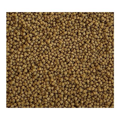 Dajana | ISF Coldwater Pellets | Hidegvízi pellet haltáp - 100 ml