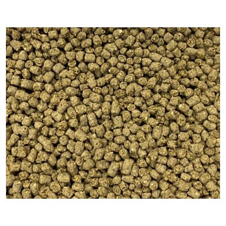 Dajana | ISF Cichlid Pellets | Cichild pellet - 250 ml 