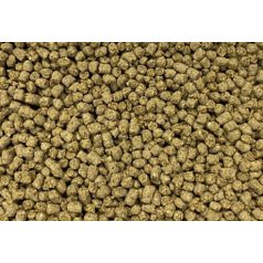 Dajana | ISF Cichlid Pellets | Cichlid pellet - 1000 ml