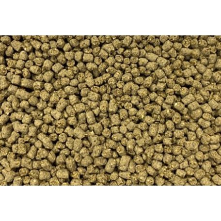 Dajana | ISF Cichlid Pellets | Cichlid pellet - 1000 ml