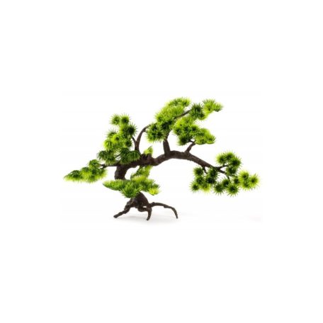 JK Bonsai Nagy | Bonsai fa dekorációs elem