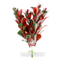   JK | Red Ludwigia | Piros Ludwigia, műnövény dekoráció - 13-16 cm