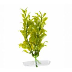 JK | Hygrophila, műnövény dekoráció  - 13-16 cm