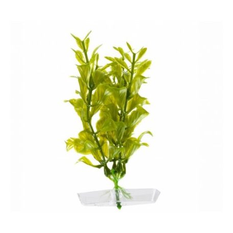 JK | Hygrophila, műnövény dekoráció  - 13-16 cm