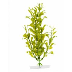 JK | Hygrophila, műnövény dekoráció - 18-21 cm