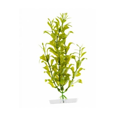 JK | Hygrophila, műnövény dekoráció - 18-21 cm