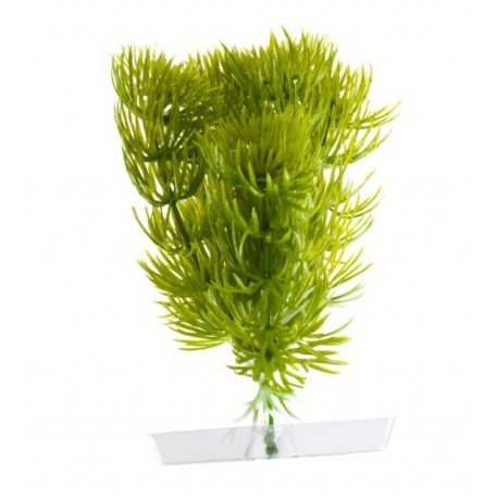 JK | Anacharis, műnövény dekorácó - 13-16 cm
