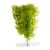 JK | Anacharis, műnövény dekorácó - 13-16 cm