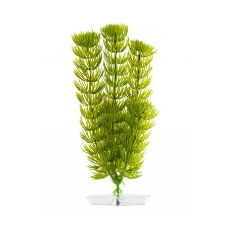 JK | Anacharis, műnővény dekoráció - 18-21 cm