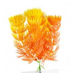 JK | Red Anacharis | Piros műnövény - 13-16 cm