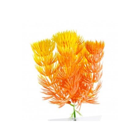 JK | Red Anacharis | Piros műnövény - 13-16 cm