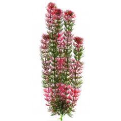  JK | Red Anacharis |  Piros Anacharis, műnövény dekoráció - 38-43 cm