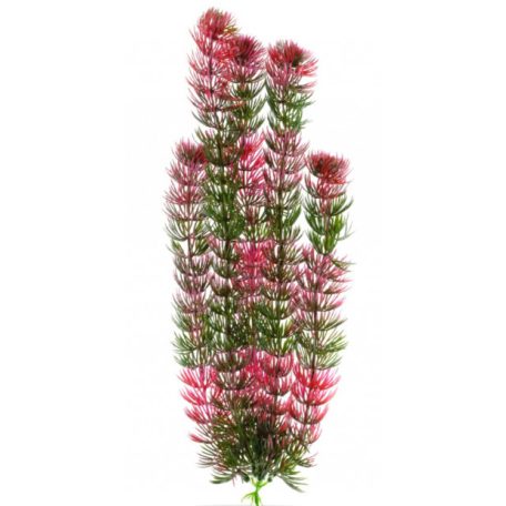 JK | Red Anacharis |  Piros Anacharis, műnövény dekoráció - 38-43 cm