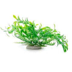 JK | Ludwigia, műnövény dekoráció - 14-17 cm