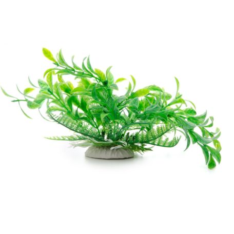 JK | Ludwigia, műnövény dekoráció - 14-17 cm