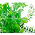 JK | Ludwigia, műnövény dekoráció - 14-17 cm