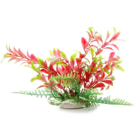 JK | Ludwigia | Műnövény dekoráció - 14-17 cm