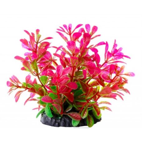 JK | Műnövény Ludwigia, rózsaszín - 10 cm