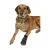  Walker Care Comfort 