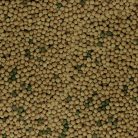 Sera Nature Raffy Baby-Gran | Granulált alapeleség fiatal vízi teknősöknek – 100 ml / 30 g