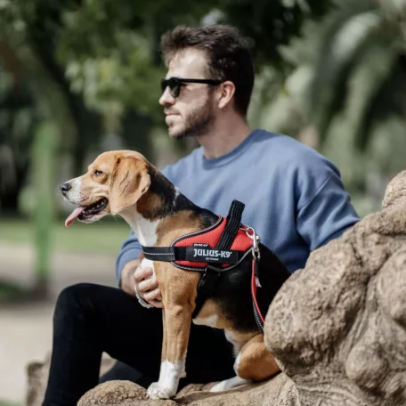 Julius-K9 | IDC POWAIR | Ultrakönnyű, légáteresztő kutyahám – kék (L) 63–85 cm