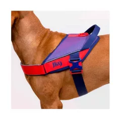   Julius-K9 | JK9 Street | Ultrakönnyű, városi Powerhám – sötétlila/neon málna (M)