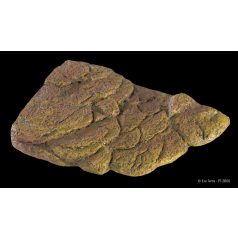 Exo Terra Turtle Bank | Mágneses teknős sziget - kicsi