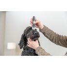 Trixie | Slim TR500 Clipper - elemes nyírógép  3W