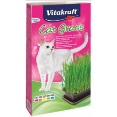   Vitakraft | Cat Grass Saatenbeutel | Macskafű vetőmag dobozban - 120 g