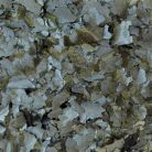 JBL | Spirulina | Lemezes díszhaltáp | Algaevők számára - 40 g/250 ml