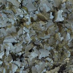   JBL | Spirulina | Lemezes díszhaltáp | Algaevők számára - 40 g/250 ml