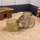 Panzi | Széna Bála Kicsi – Természetes réti széna kisemlősöknek – 300 g