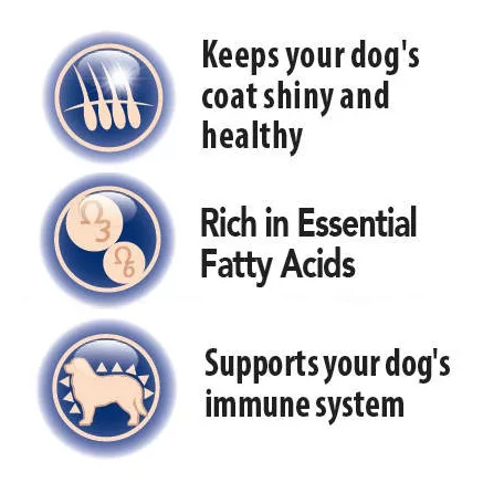 Panzi | FitActive vitamin FIT-a-SKIN vitamin kutyáknak - 60db